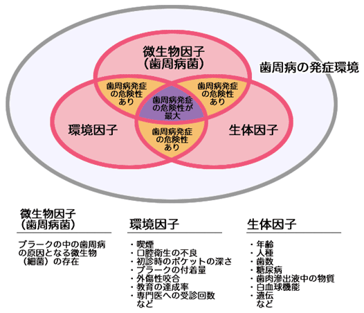 山口県柳井市の歯医者の歯医者、いそべ歯科医院で、歯周病治療